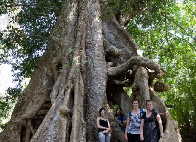 Cambodia siem reap ankor wat-44