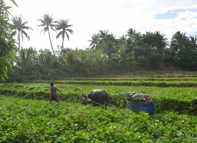 phillipines-4